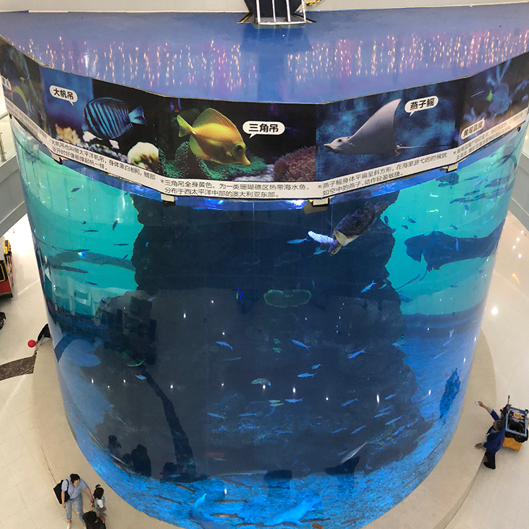 dari panel akrilik tebal 20mm hingga 500mm untuk ikan besar modern