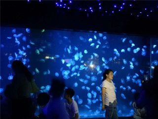 2018 akrilik akuarium tangki kaca ubur-ubur