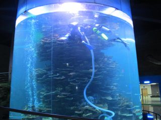 tangki ikan silinder besar akrilik bening untuk akuarium atau taman laut