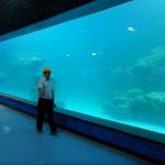 Panel akrilik UV dinding cor untuk akuarium, oceanarium
