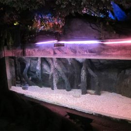 Panel / jendela kolam renang akrilik untuk Underwater Sea World