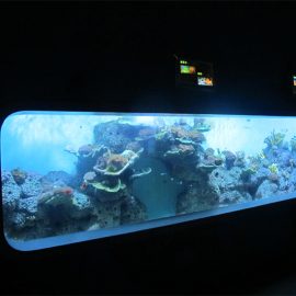 Artificial Cast Acrylic Silinder Aquarium ikan transparan / tampilan jendela