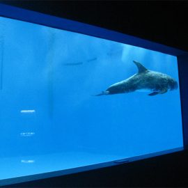 kualitas tinggi Besar akrilik akuarium / jendela kolam renang bawah air jendela tebal lembar