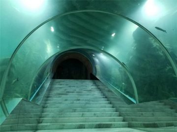Harga proyek akuarium terowongan akrilik