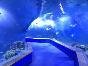 Clear pmma acrylic terowongan plastik besar akuarium