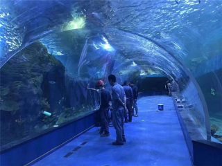 Terowongan akrilik akrilik plexiglass kustom