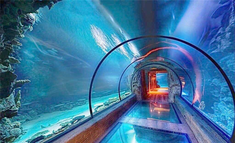 Desain modern akrilik terowongan panjang akuarium